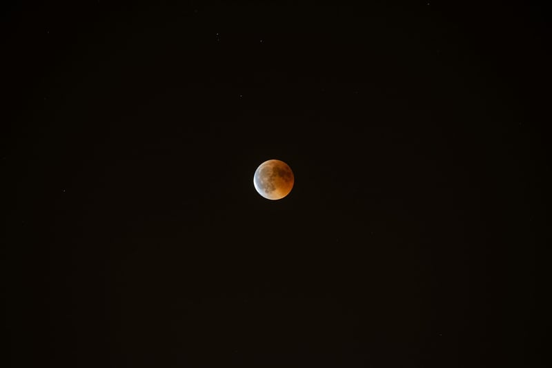 Eclipse Elopements
